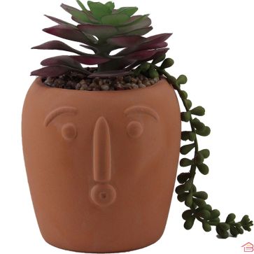 POT EN TERRE CUITE AVEC PLANTE 11X11X16 CM