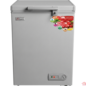 CONGÉLATEUR COFFRE 80 LITRES AVEC THERMOSTAT RÉGLABLE ET SERRURE ORVICA