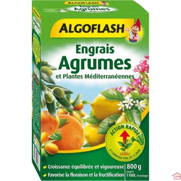 ENGRAIS AGRUMES ET PLANTES MÉDITERRANÉENNES ALGOFLASH