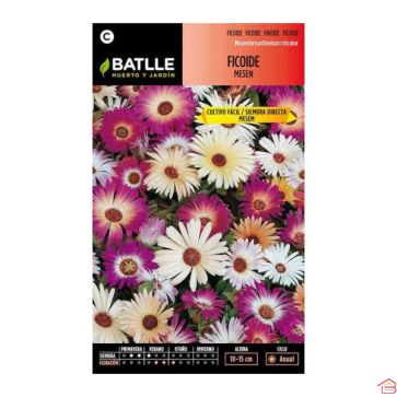 SACHTE DE FLEUR FICOIDE 3 G - BATTLE