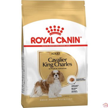 CROQUETTES POUR CHIEN ADULTE RACE CAVALIER KING CHARLES SPANIEL ROYAL CANIN ALIMENT COMPLET 1,5 KILOGRAMME