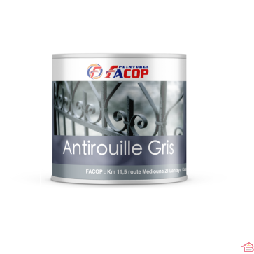 PEINTURE ANTIROUILLE GRISE 1 KG