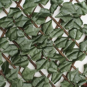 TREILLIS DE JARDIN GARDENIA IVY 1X2 M