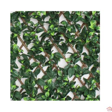 TREILLIS DE JARDIN MIXTE VERT 1X2 M