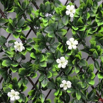 TREILLIS DE JARDIN AVEC FLEURS BLANCHES GARDENIA 1X2 M