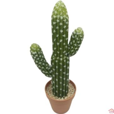 PLANTE ARTIFICIELLE CACTUS POLASKIA 15X13X41 CM