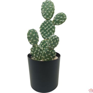 PLANTE ARTIFICIELLE CACTUS RUFIDA 10X10X27 CM