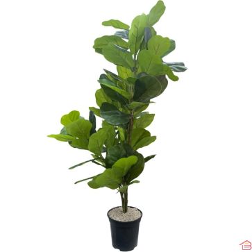 PLANTE DÉCORATIVE D’INTÉRIEUR ARTIFICIELLE HAUTEUR 80 CM AVEC POT