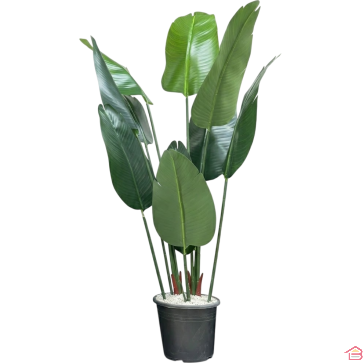 PLANTE DÉCORATIVE D’INTÉRIEUR ARTIFICIELLE HAUTEUR 80 CM AVEC POT