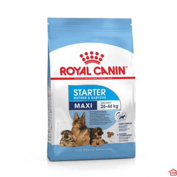 MAXI STARTER 4 KG ROYAL CANIN
