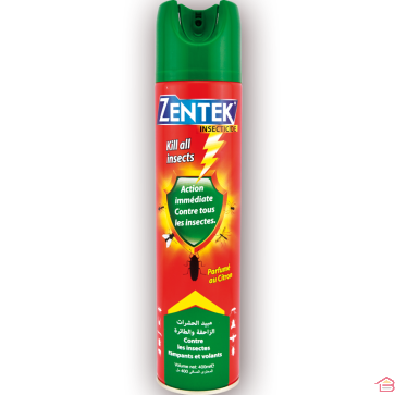 AEROSOL TOUT INSECTES 400 ML - ZENTEK