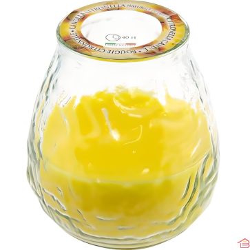 BOUGIE À LA CITRONNELLE EN VERRE RÉPULSIF NATUREL ANTI-INSECTES AVEC 40H D'AUTONOMIE
