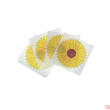 PIÈGE MOUCHE ADHÉSIF TOURNESOL X 4 PCS