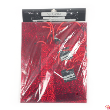 SACS CADEAUX X 3 PIECES