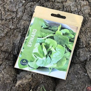 SACHET DE GRAINES D'ÉPINARDS