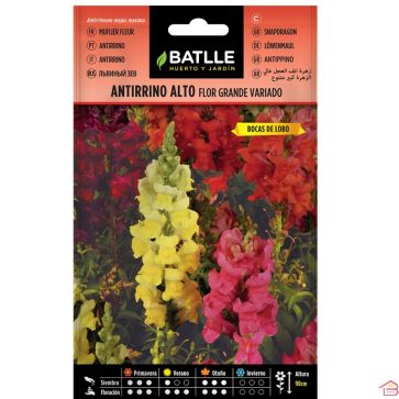 SACHET DE GRAINES DE FLEURS ANTIRRINO GRAND VARIÉ ALTO FLOR GRANDE