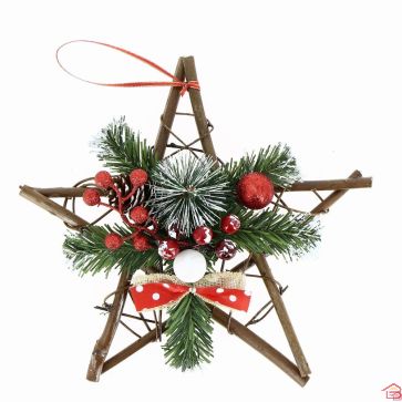 ETOILE DE NOËL - 25 CM