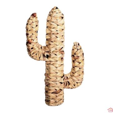 CACTUS EN JACINTHE D'EAU 45X25 D:9CM