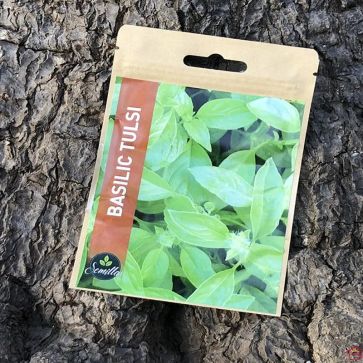 SACHET DE GRAINES DE BASILIC TULSI