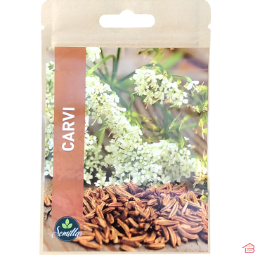 SACHET DE GRAINES DE CARVI AROMATIQUE