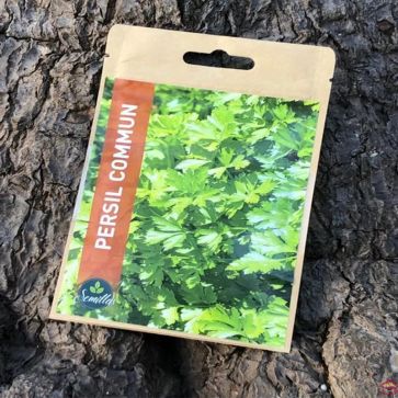 SACHET DE GRAINES DE PERSIL COMMUN