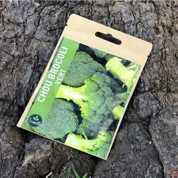 SACHET DE GRAINES DE CHOU BROCOLI VERT