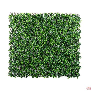 TREILLIS EXTENSIBLE FEUILLE DE JASMIN 1*2M