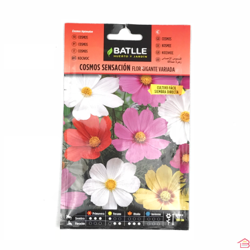 SACHET DE FLEUR COSMOS SENSATION - BATLLE