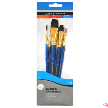 SET DE 5 BROSSES POIL CHAMEAU POUR PEINTURE AQUAR - DALER ROWNEY