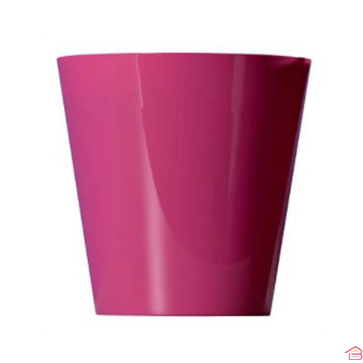 POT CLIVIO Diamètre 18 CM CYCLAMEN