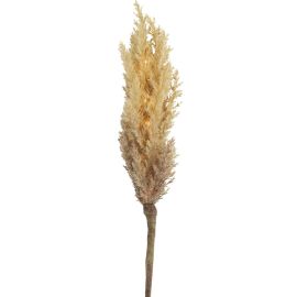 BRANCHE ARTIFICIELLE LED À PILES MARRON CLAIR 90 CM ASTILBE DÉCORATIVE