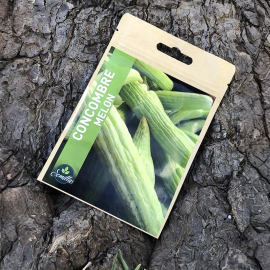 SACHET DE GRAINES CONCOMBRE MELON ARMÉNIEN POUR POTAGER ET JARDIN