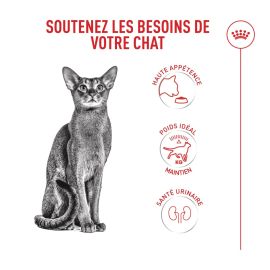 CROQUETTES POUR CHAT ADULTE À L’APPÉTIT DIFFICILE 2 KG ROYAL CANIN FUSSY EXIGENT