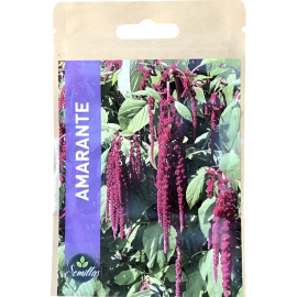 SACHET DE GRAINES D’AMARANTE ROUGE
