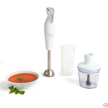 MIXEUR PLONGEANT DAILYCHEF 600W + ACCESSOIRES MOULINEX