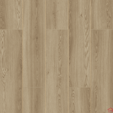 PARQUET STRATIFIÉ MODERN 8 MM CLASSE 32 / AC4–V4 AVEC RAINURES (V GROOVE) CHÊNE CLAIR (1,85M²/PAQUET)
