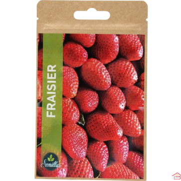 SACHET DE GRAINES DE FRAISIER QUATRE SAISONS POUR CULTIVER DES FRAISES EN POTAGER BALCON ET JARDIN 3 GRAMMES