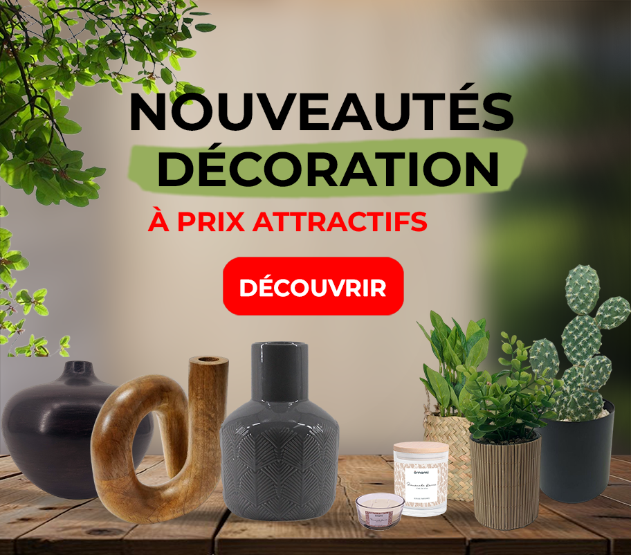 https://www.bricodeco.ma/maison-et-decoration/decoration-murale.html